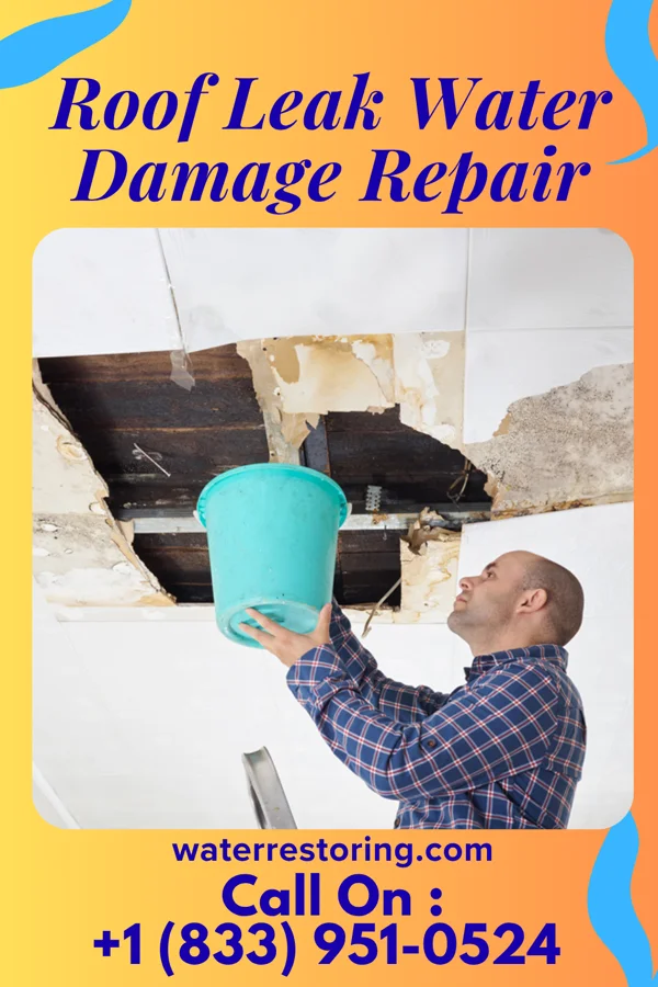 Roof Leak Water Damage Repair in Chester, SC