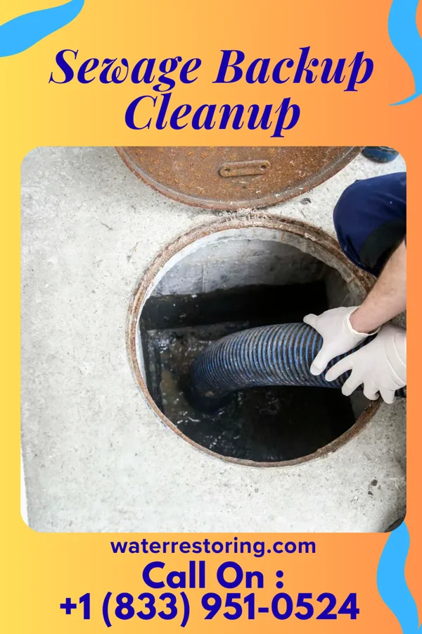 Sewage Backup Cleanup in Chester, SC