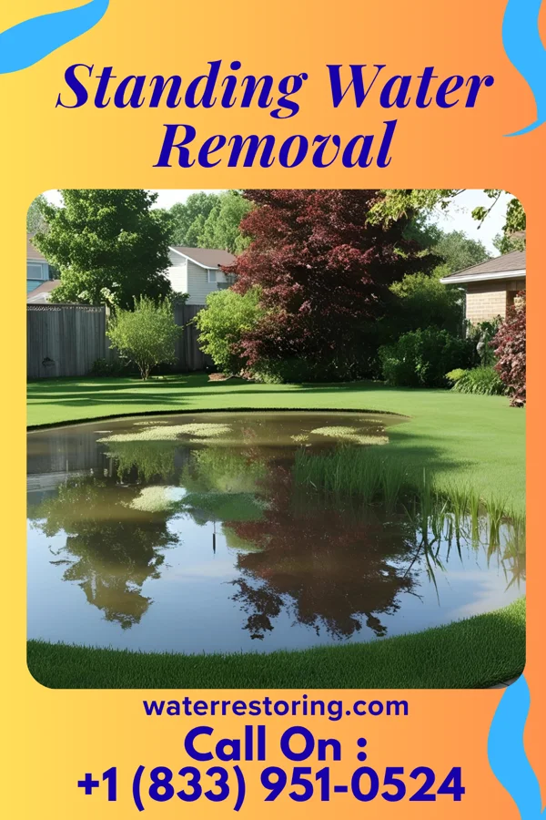 Standing Water Removal in Chester, SC